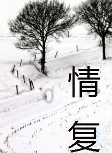 无忧国际wy6999
