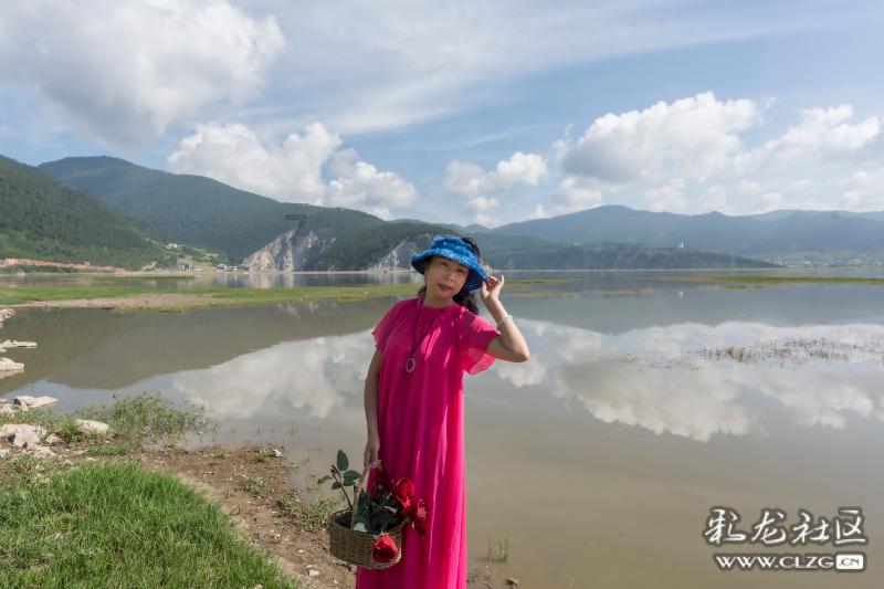 机智问答网页-快速解答问题的国内哪里的樱花最好看?平台